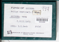 Image Associated With the Occurence